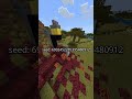 THIS MINECRAFT SEED IS BRILLIANT