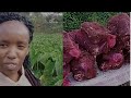 How Arrowroots Nduma Grows In Majority Parts Of Kenya Gowith J WODEMAYA