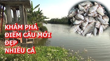 Khám Phá Điểm Câu Mới Quá Đẹp Và Nhiều Cá l CẦN THỦ ĐẤT CẢNG