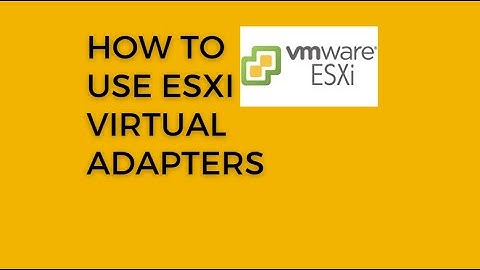 ESXi 8 Working with Virtual Adapters