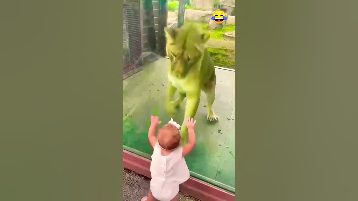 Brave Baby takes on a lion #status #baby #short