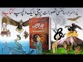 Ajaib ul Makhluqat Introduction | Most Mysterious book in world | Episode 1
