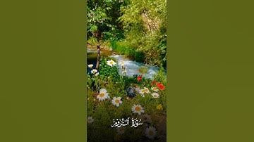 آيات هادئة يتلوها عليكم الشيخ محمد صديق المنشاوي من سورة الروم #اكسبلور #قرآن #راحة_نفسية