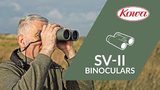 Видео о Бинокль  Kowa SV II 10x42 WP (11905)