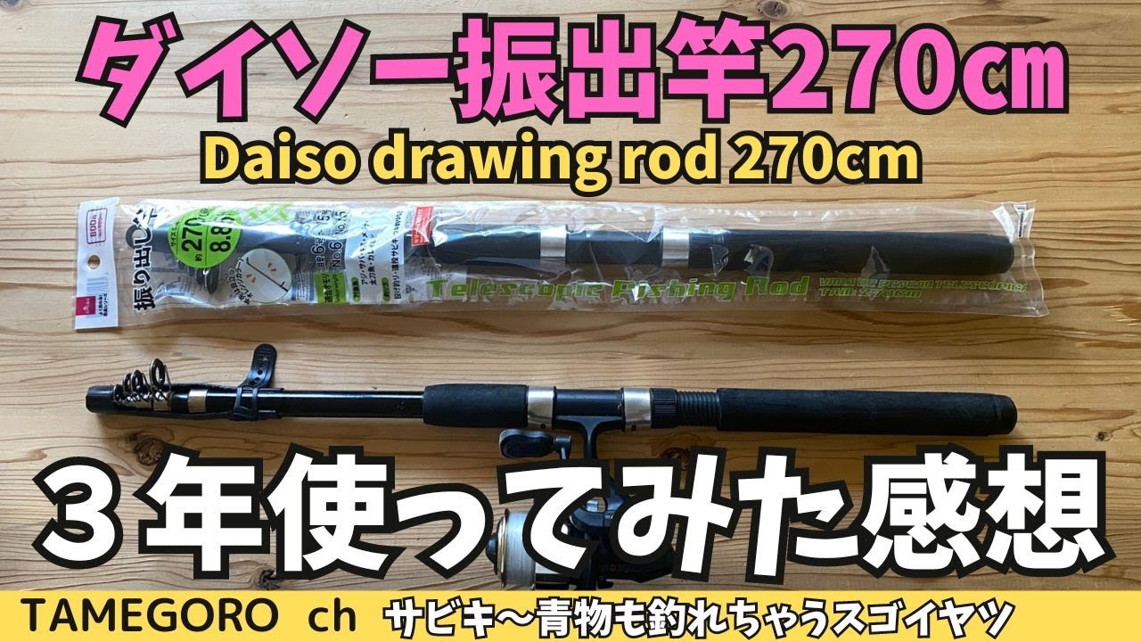 わんこページです！ point_touhyou_1400_800cyukan01