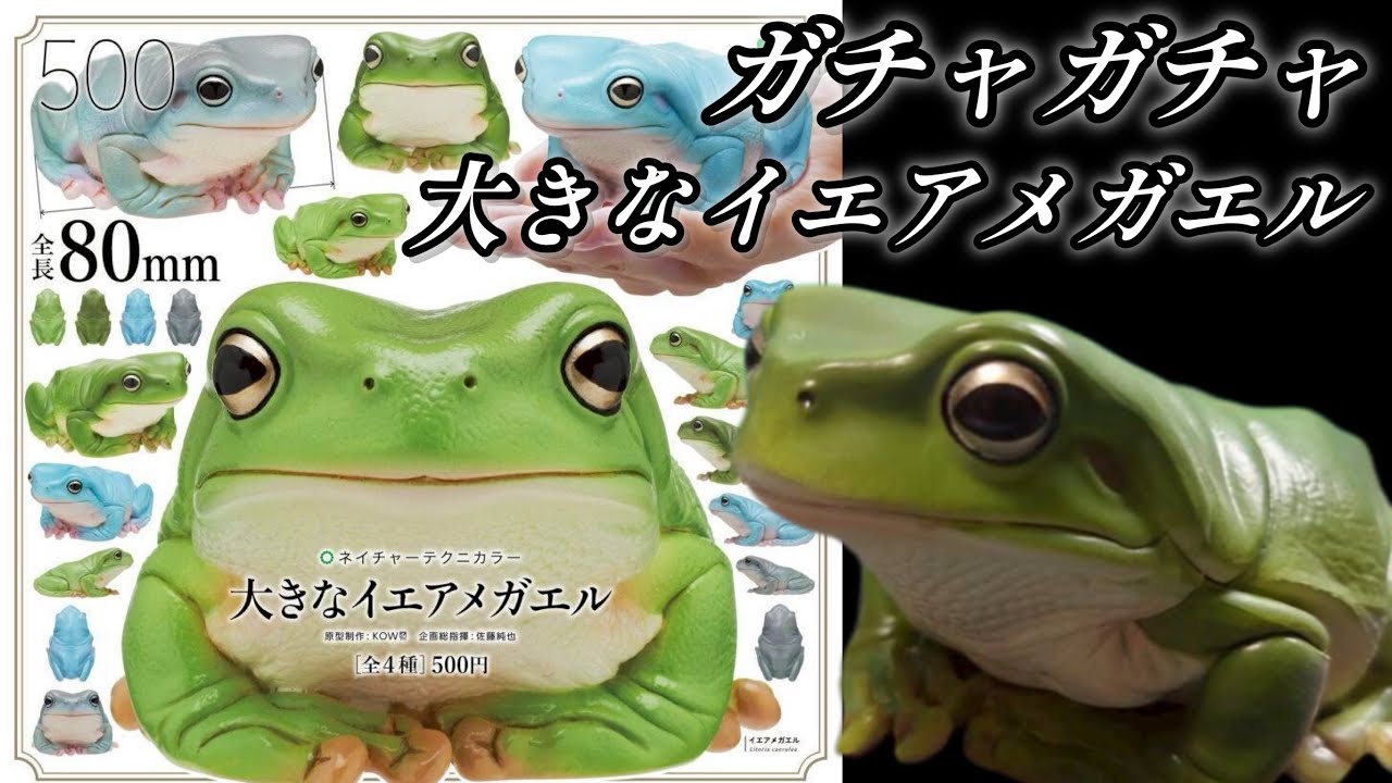 瑪瑙　カエル Capsule Toy] Large Green Tree Frog [Nature Technicolor] Unboxing