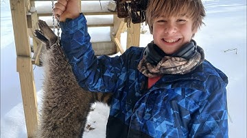 raccoon trapping in pennsylvania duke traps nepa trapping