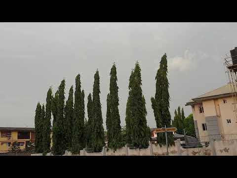 Прогулка по Абудже! Абуджа столица Нигерии