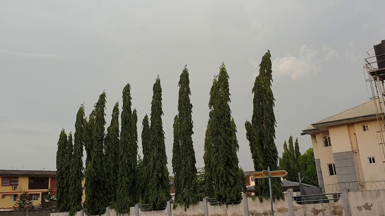 Прогулка по Абудже! Абуджа столица Нигерии