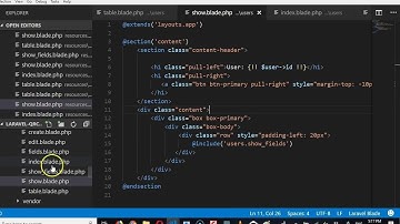 QRCode tutorial   34   cleaning up user edit - Laravel 5.6 full project course