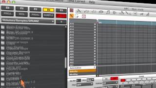 MPC 101: Renaissance and Studio Revealed - 15. Creating a Program - Part 1