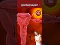 Ectopic Pregnancy Ectopicpregnancy Pregnancy Miscarriages Pregnant Pregnancyjourney mp3