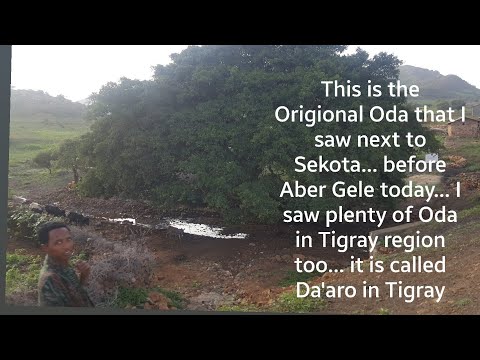 Jaal Marroo Interview