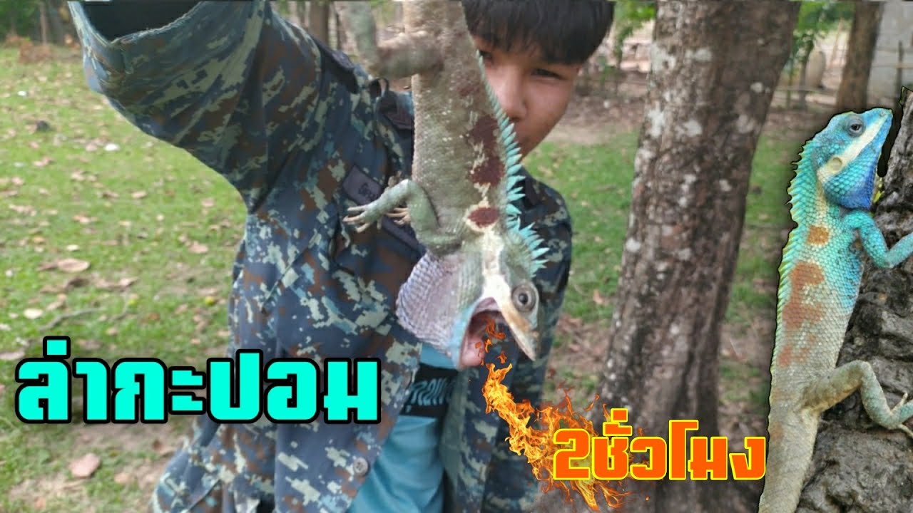 ล่ากะปอม