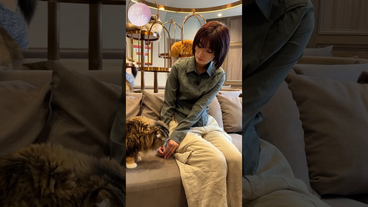 【猫カフェ】かりんの猫とひととき #shorts