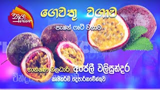 Nugasewana | Gewathu wagawa | පැෂන් වගාව | 2022-09-30 |Rupavahini