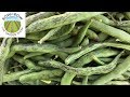 Guide to Growing Fresh Garden Pole Beans