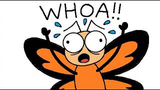10 Crazy Butterfly Facts You Won't Believe Are Real