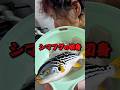 奇妙な色のフグが美味すぎた😳🐟‼️ #船長の日常 #淡路島