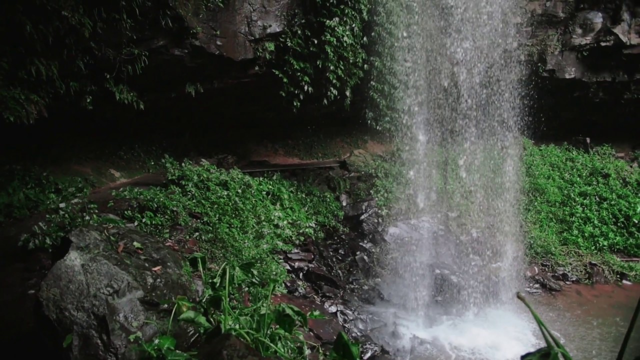 Dorrigo Nsw Crystal Shower Falls Youtube