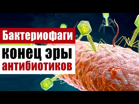 Видео: Специфичны ли фаги для бактерий-хозяев?