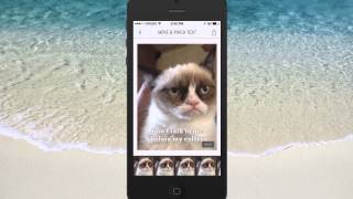 How To Create Memes and Inspirational Photo Quotes On Your iPhone screenshot 5