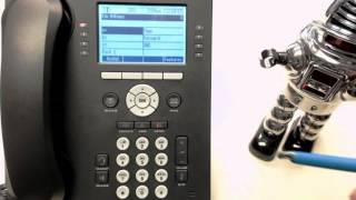 8 AVAYA IP Office: Custom Options 9508