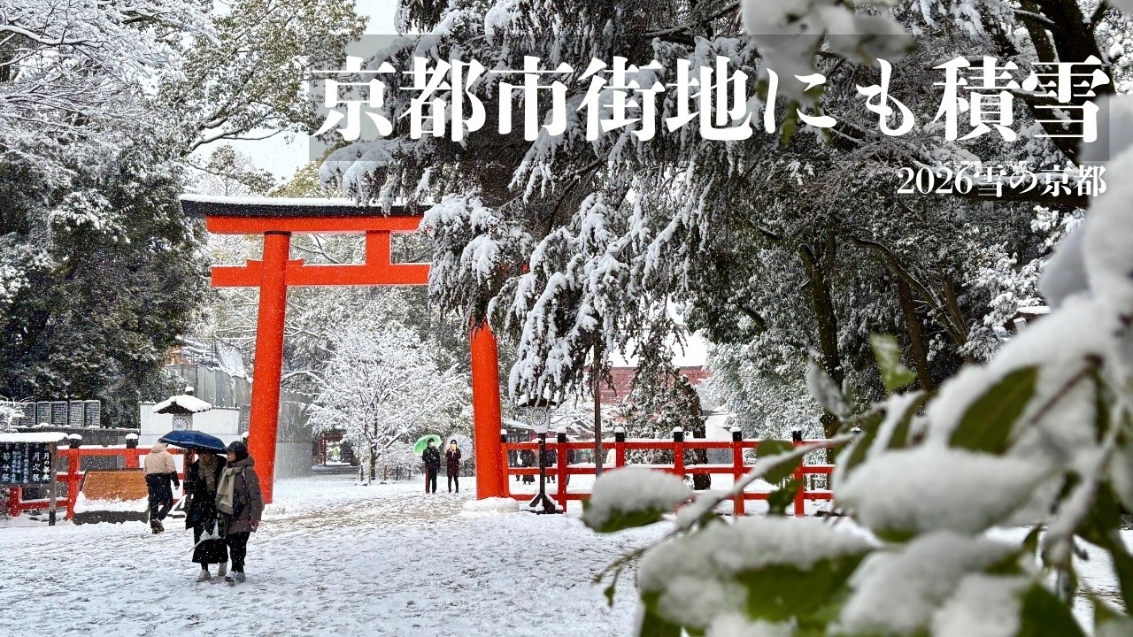 【京都雪景色2026】清水寺・下鴨神社｜市街地も積雪｜静寂の雪の京都