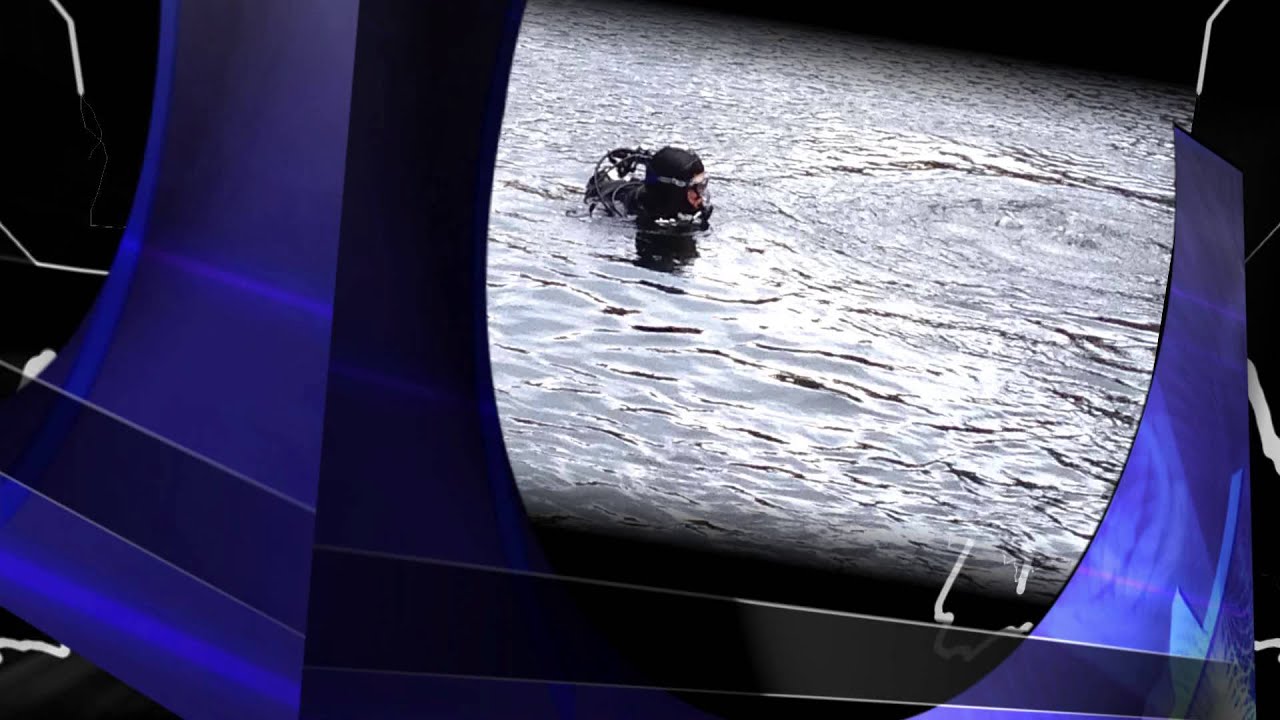 THIS IS DIVE(monkey) 2013 !