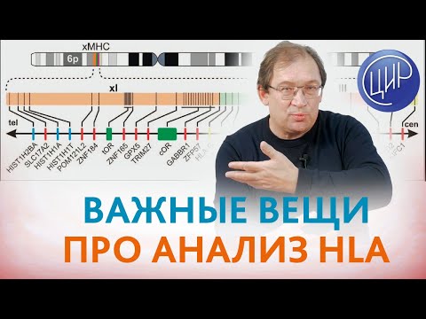 Анализ HLA. HLA-типирование при диагностике причин бесплодия и невынашивания беременности. Гузов И.И