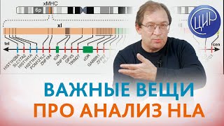 Анализ HLA. HLA-типирование при диагностике причин бесплодия и невынашивания беременности. Гузов И.И