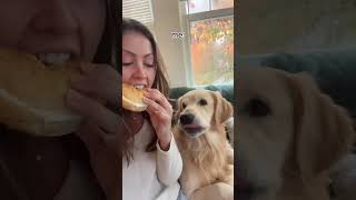 When I King Chilli Want Bagels, You Better Gib Them Immediate 🥯