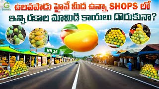 ఉలవపాడు హైవే మీద ఉన్నా Shops లో ఇన్ని రకాల మామిడి కాయలు దొరుకునా #mango #mangoseason #ulavapadu