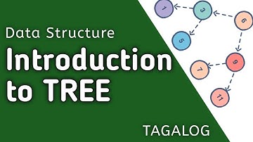 INTRODUCTION TO TREE IN DATA STRUCTURE
