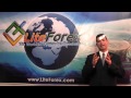 LiteForex - 10 YEARS - YouTube