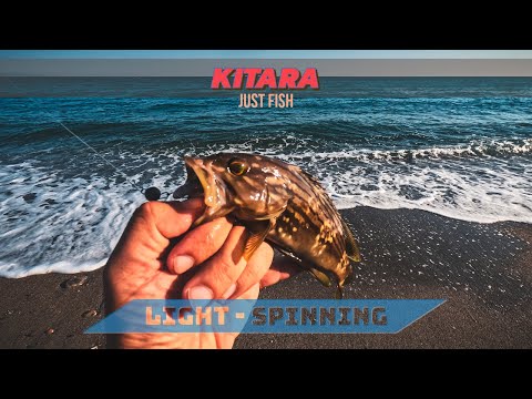 KITARA JUST FISH - catture slamate botte + TRUCCHETTO PER RISISTEMARE LE GOMME ROTTE!