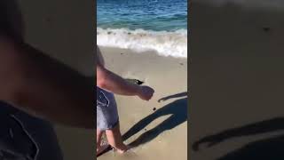 Sai Da Pedra Geraldo