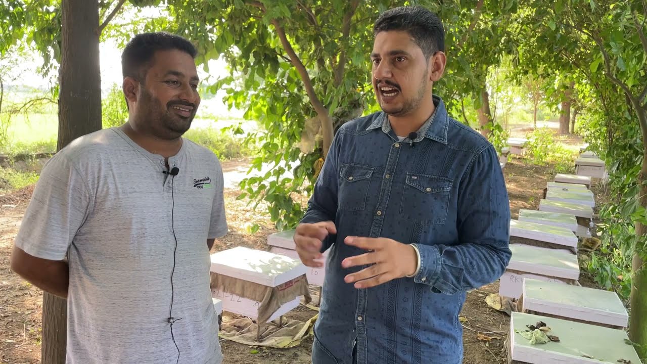 knowledge tips very helpfull for Bee 🐝 farming interview of Farmers Punjab India