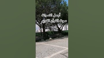 القارئ ماهر المعيقلي تلاوه خاشعة بصوت جميل اللهم اجعل القرآن ربيع قلوبنا ونور صدورنا# #♥️ #تصويري