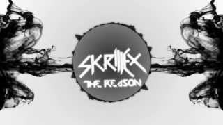 Skrillex - The Reason (Visuals By: Elit3~)