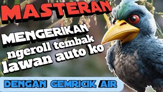 Lawan Auto Keok Sekali Denger Tembakan Ini || Masteran Burung Lomba Tembakan Panjang Roll Speed