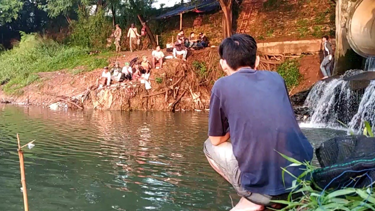 Mancing ikan tawes di danau pahoa umpan usus