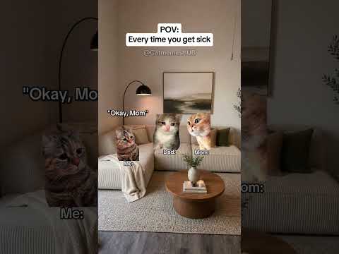 CAT MEMES 🐱Every Time You Get Sick #catmemes #relatable #relationship