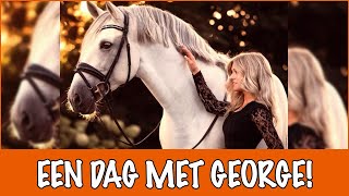 Komt er een Whitestar 2?! 😱 | PaardenpraatTV