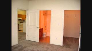 3 bedroom apartment (downstairs) - Watersedge Apartments - Champaign, IL