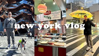NEW YORK VLOG | Staypineapple Hotel, Russ & Daughters, Hudson Yards