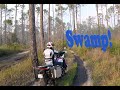 Africa Twin at a Swamp!