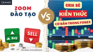 Những Kiến Thức Cơ Bản Nhất Trên Thị Trường Forex | Zoom đào tạo B1