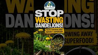 STOP Pulling Dandelions — This “Weed” Is Seriously Underrated 🌼 #garden #nature #gdtg #plants