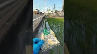 田んぼはゴミ箱じゃない!!